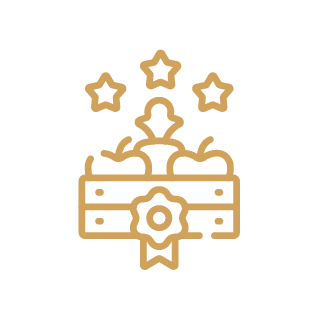 Recognise icon